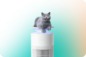 SwitchBot Air Purifier Table: очиститель, зарядка и даже стол в одном устройстве 