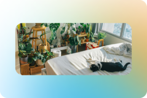 Как увлажнить воздух в отопительный сезон