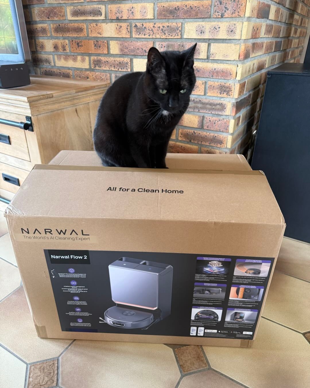 Yes… Flow 2 è arrivato a casa dei nostri beta tester…e qualcuno se n’è già impossessato. 🐱Non v